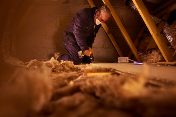 Best Insulation Maintenance and Repair in Coral Terrace, FL